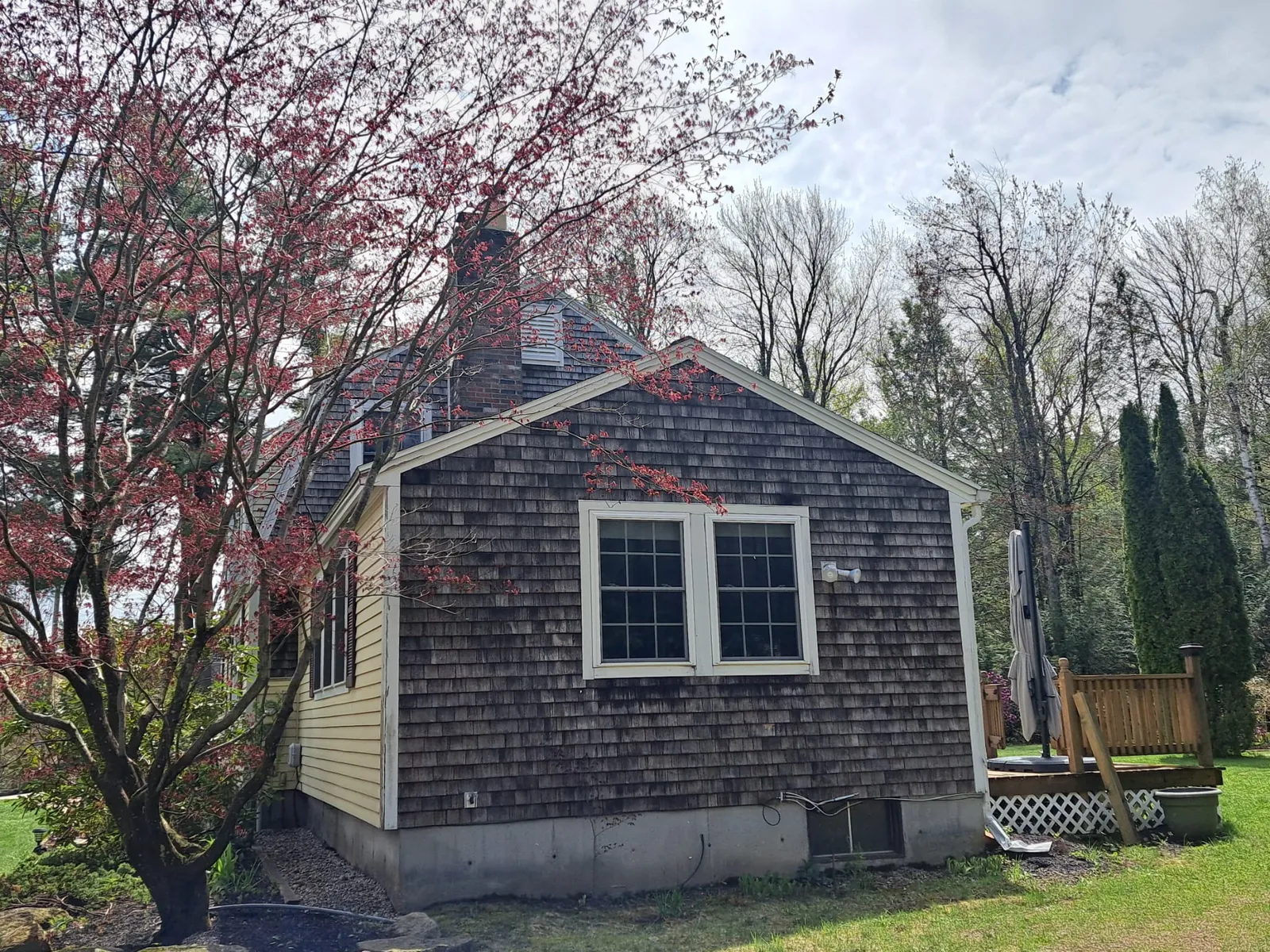 Cedar-shingle home with white-trimmed windows